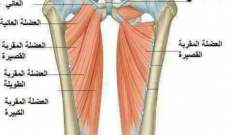ما هي إصابات العضلة الضامة ؟