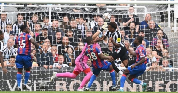 Mouse referee penalty in Newcastle-Crystal Palace match