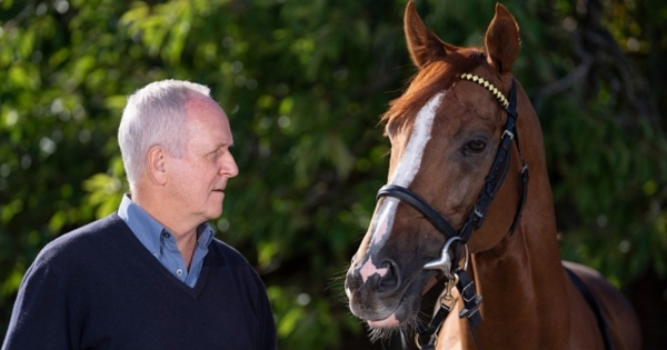 Stradivari is one of the most famous retired British racehorses