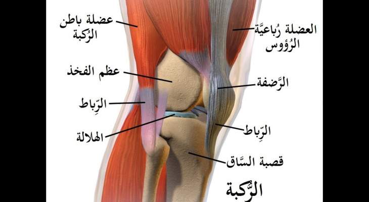 اصابة اربطة الركبة سببها وكيفية العلاج 